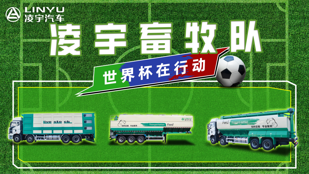 奪冠世界杯！你注意到這支球隊了嗎？